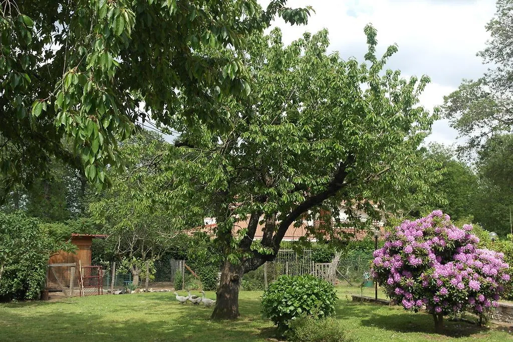 B&B Viale dei Pini-1